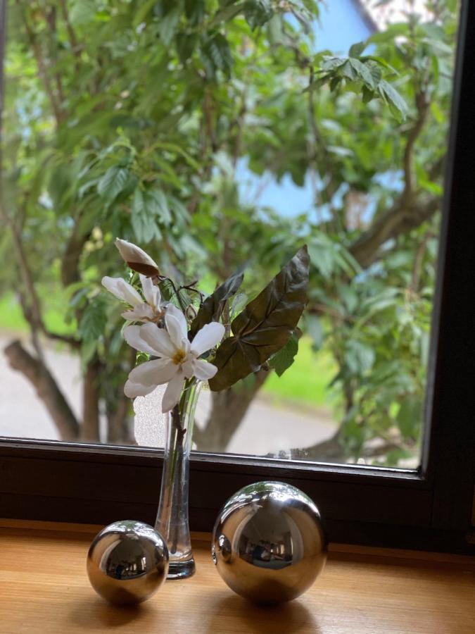 Ferienwohnung Hopfengarten Spalt Kültér fotó